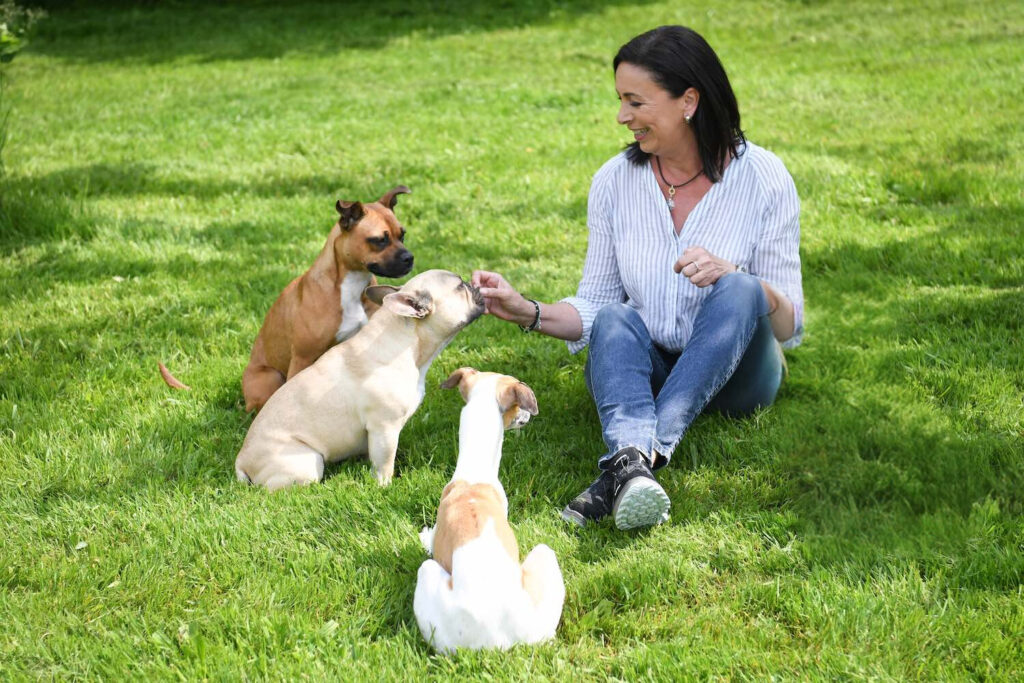 Mensch und Hund - Soziales Training - Angela Aeschbacher - Team- Hundetraining